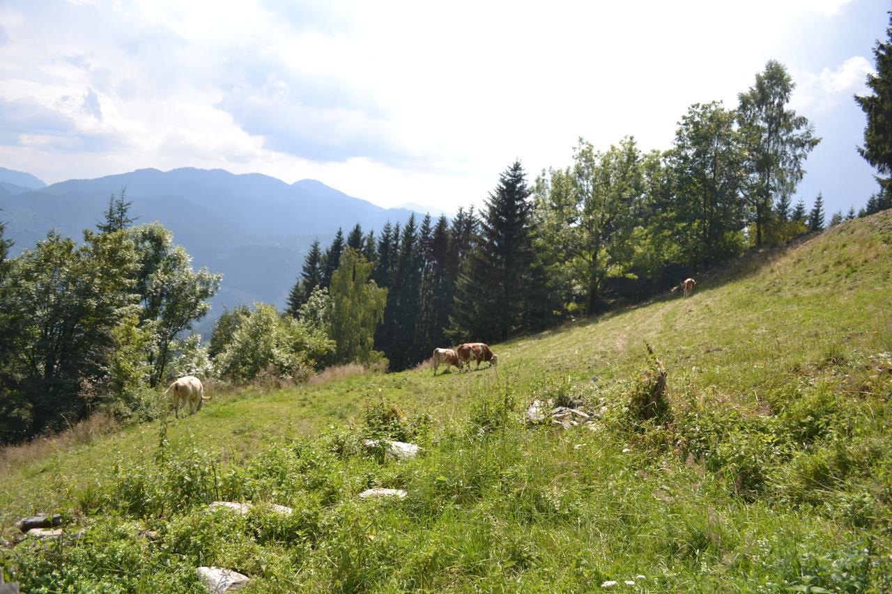 Gasthof Oberer Gesslbauer Stanz Im Murztal Exterior foto