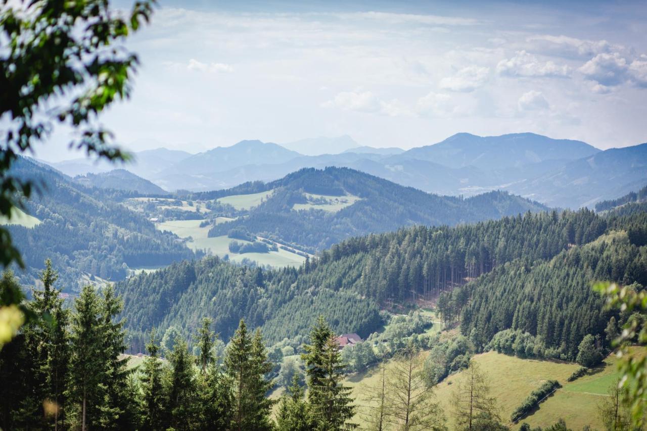 Gasthof Oberer Gesslbauer Stanz Im Murztal Exterior foto